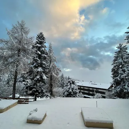 Renovated 5 Min To Montana Center