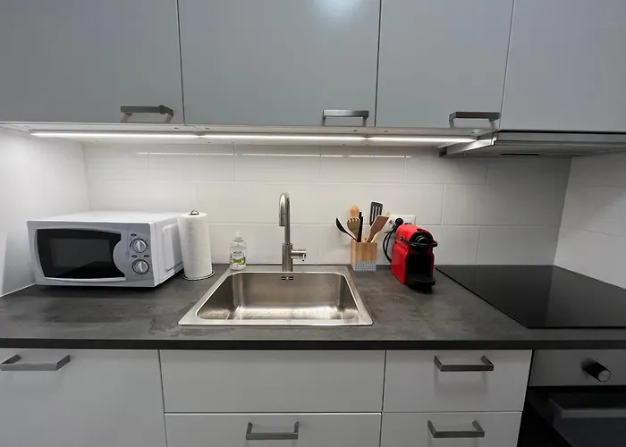 Renovated 5 Min To Montana Center Daire